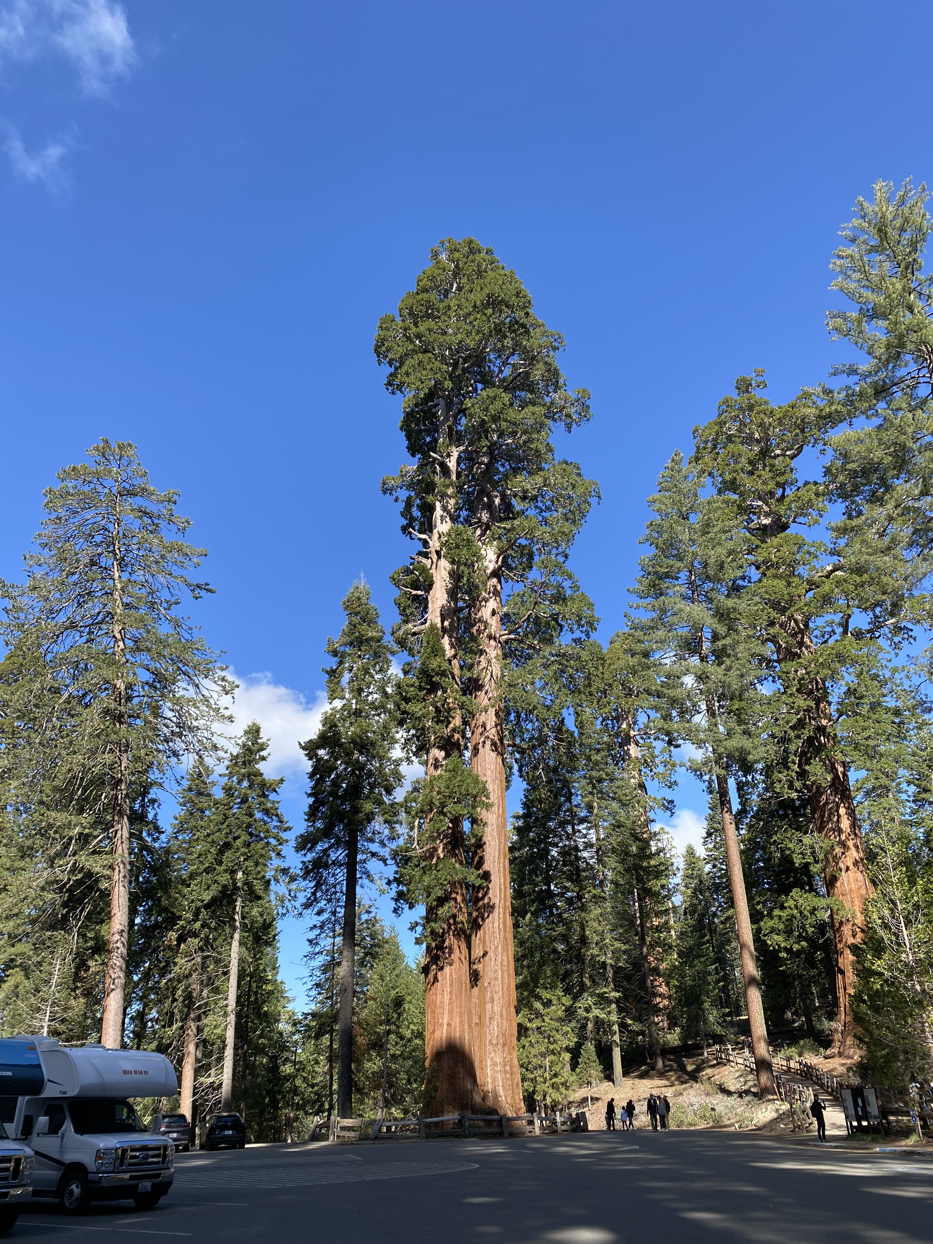 Kings Canyon & Sequoia