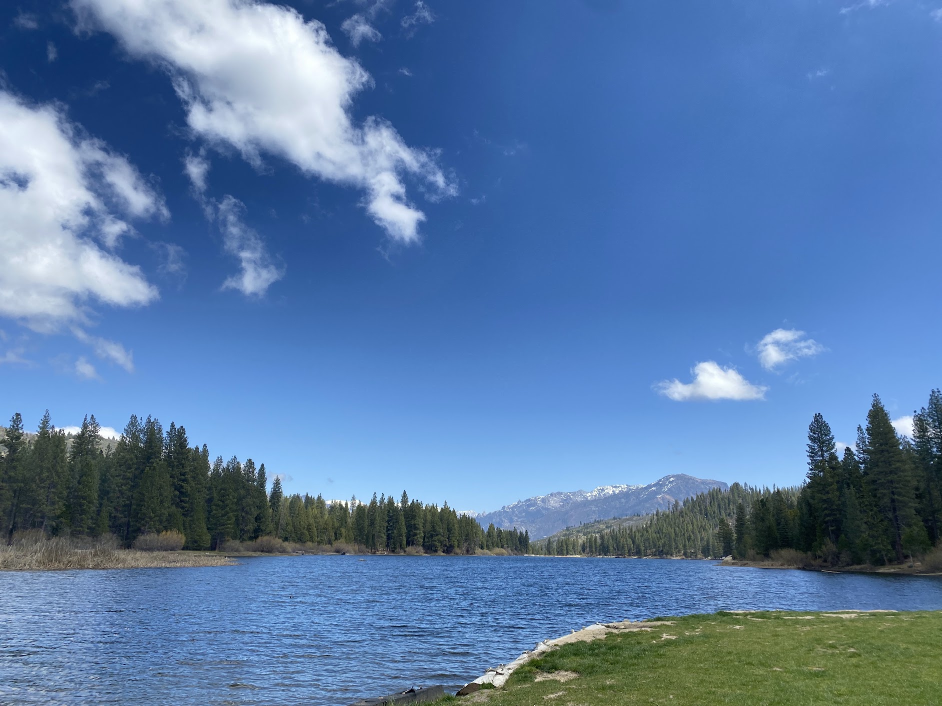 Kings Canyon & Sequoia