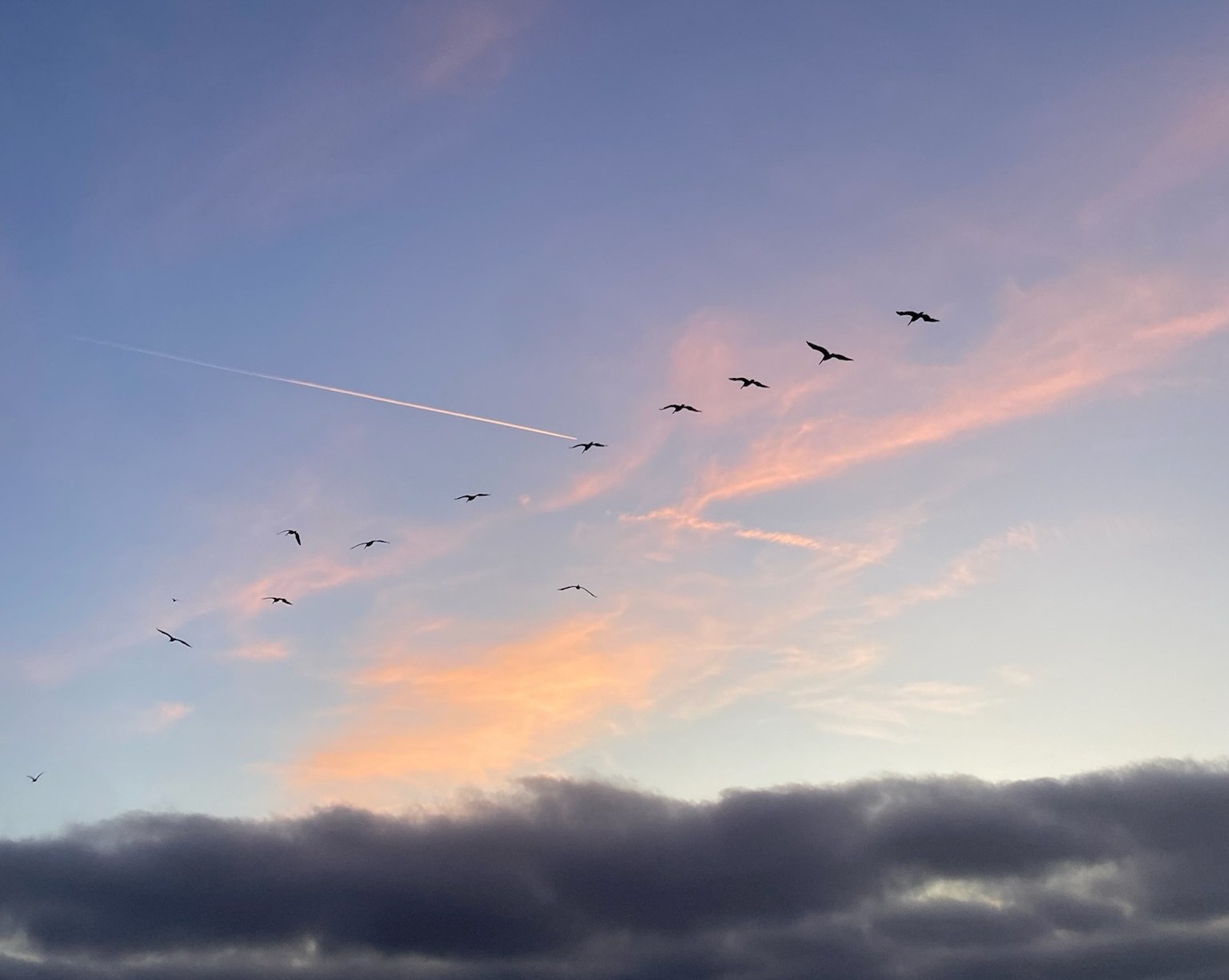 Los Angeles & San Diego