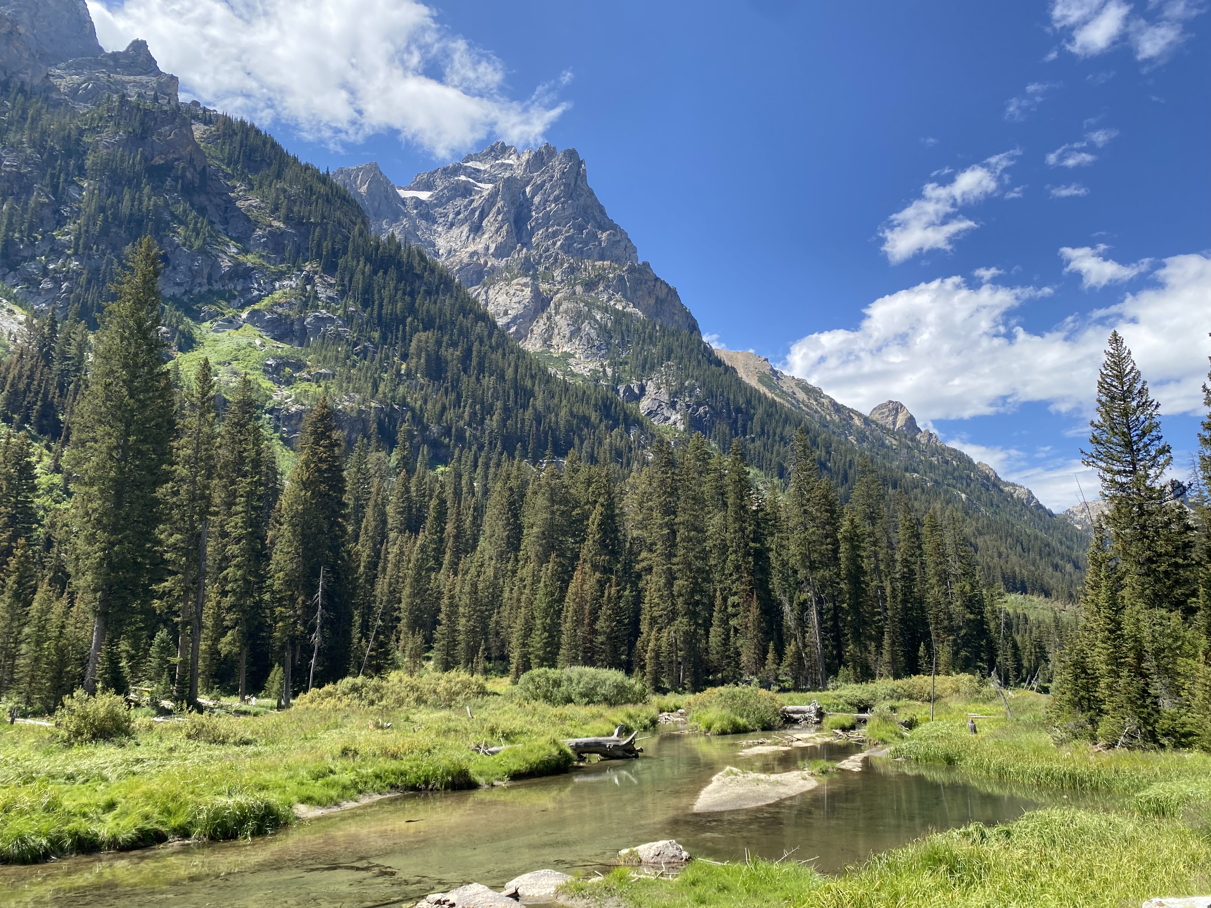 Grand Teton & Yellowstone