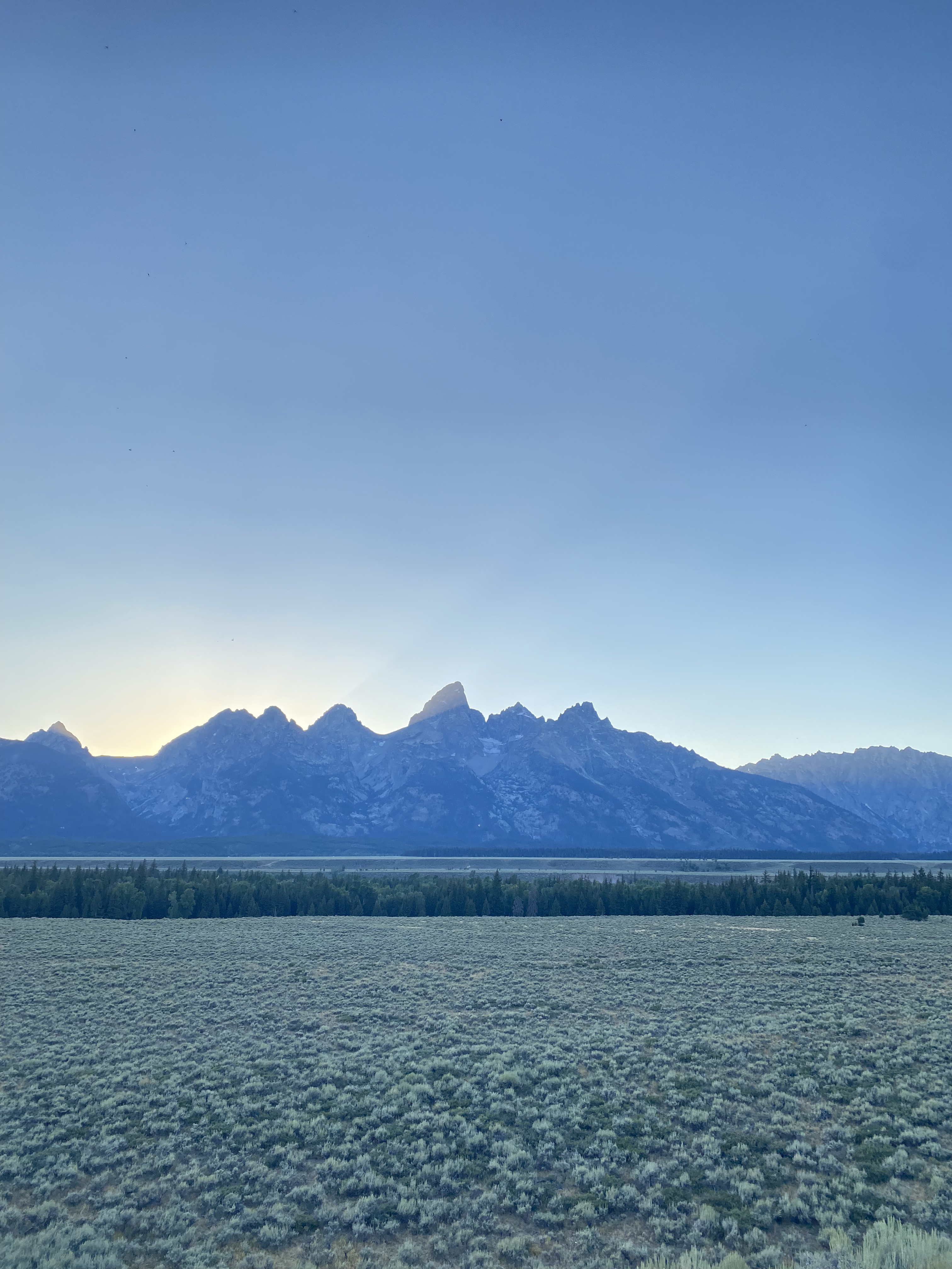 Grand Teton & Yellowstone